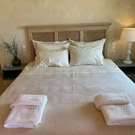 Lethos - Tinos Villa Kionia